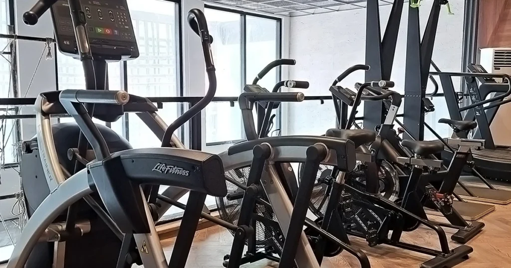 fitness and wellness at vibe gym & health club